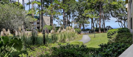 Un quartier résidentiel avec un chemin menant à un bâtiment, le tout entouré d’arbres et de verdure.