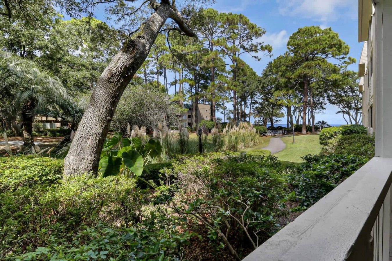 Un jardín ajardinado con diversos árboles y arbustos, un sendero y un edificio al fondo.