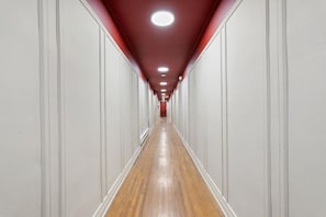 Interior - Lavish Studio in the heart of OSU campus (Columbus)