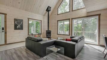 TV, fireplace, offices