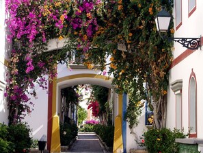 Un estrecho callejón con un edificio blanco, columnas pintadas de amarillo y azul, y un arco decorado con flores moradas y anaranjadas.