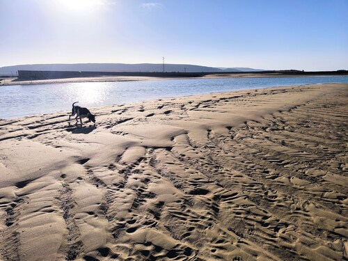 Typical Andalusian cottage in the center of Barbate (pets allowed).