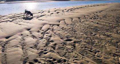 Typical Andalusian cottage in the center of Barbate (pets allowed).