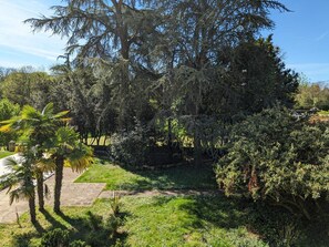 Terrain de l’hébergement 