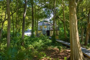 A house surrounded by dense forest with a pathway leading to it.
