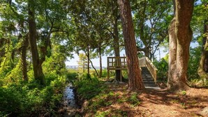 Eine Holzterrasse mit Treppe, die zu einer erhöhten Plattform inmitten von Bäumen führt.