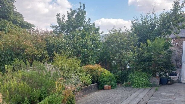 Une terrasse en bois avec un revêtement de sol en pierre, entourée d’une végétation luxuriante et d’arbres.