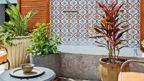 Ein Patio mit Holz-Pergola, Fliesenwand, Kübelpflanzen und Gartenmöbeln.