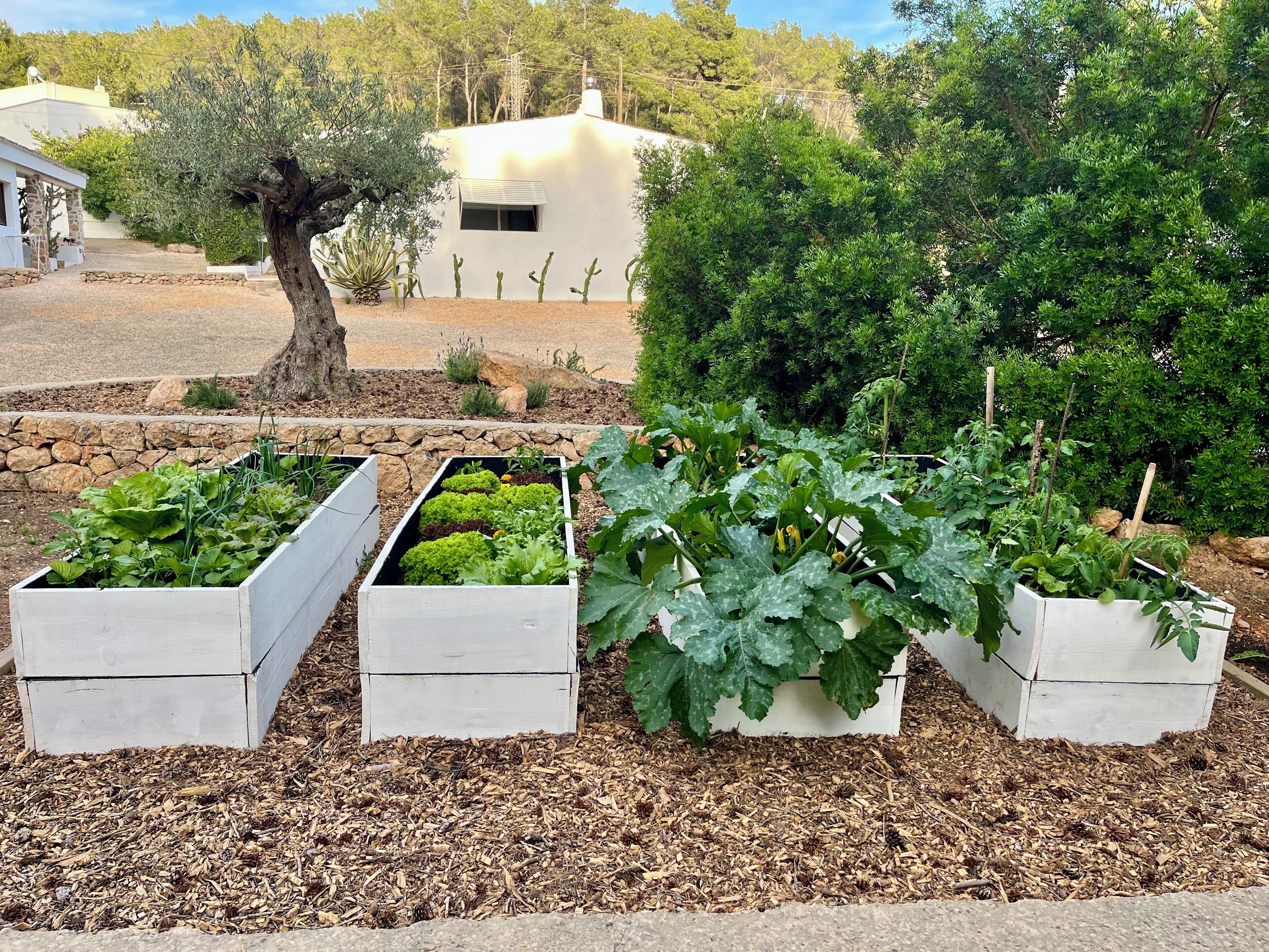 المنطقة المحيطة بالمنشأة
