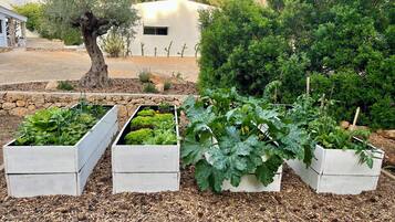 Jardines del alojamiento