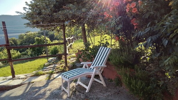 Comfort Tek Büyük veya İki Ayrı Yataklı Oda, Bahçe Manzaralı | Teras/veranda