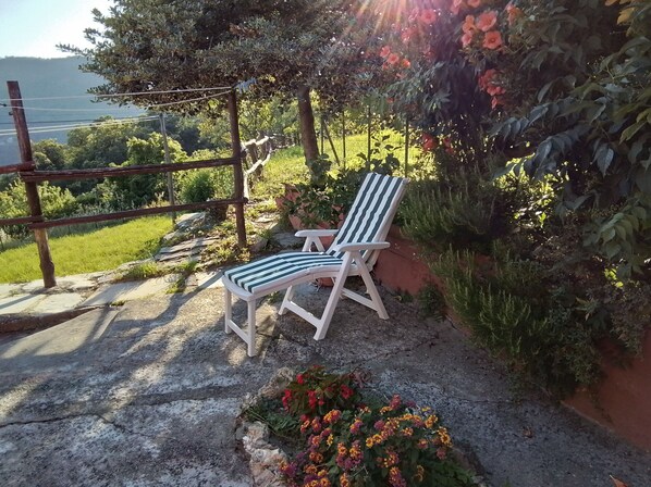 Comfort Double or Twin Room, Garden View | Terrace/patio