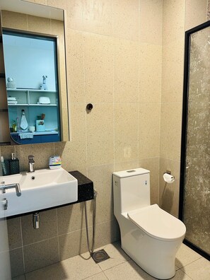 Shower, hair dryer, bidet, towels