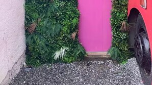 A pink door with a rain shower icon, surrounded by lush green foliage. - Ballinadee Bus - Boutique Bus Accommodation (Ballinadee)