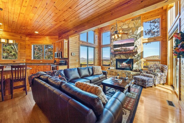 智能電視、壁爐、書籍、音響