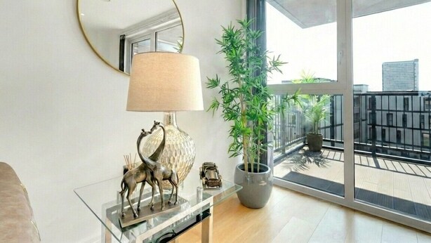 A modern living room with a glass coffee table, a lamp, a decorative horse figurine, and a potted bamboo plant.