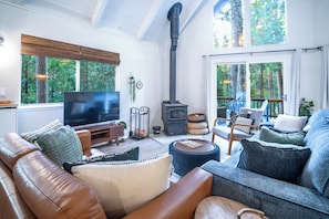 Smart TV, fireplace, table football, books