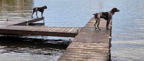 Un muelle de madera se extiende sobre un lago tranquilo, con árboles al fondo.