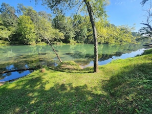 Eine friedliche Seenlandschaft mit einer grünen Wiese und Bäumen.