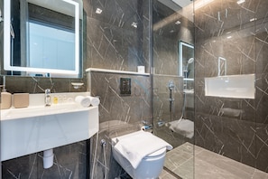 Shower, hair dryer, bidet, towels