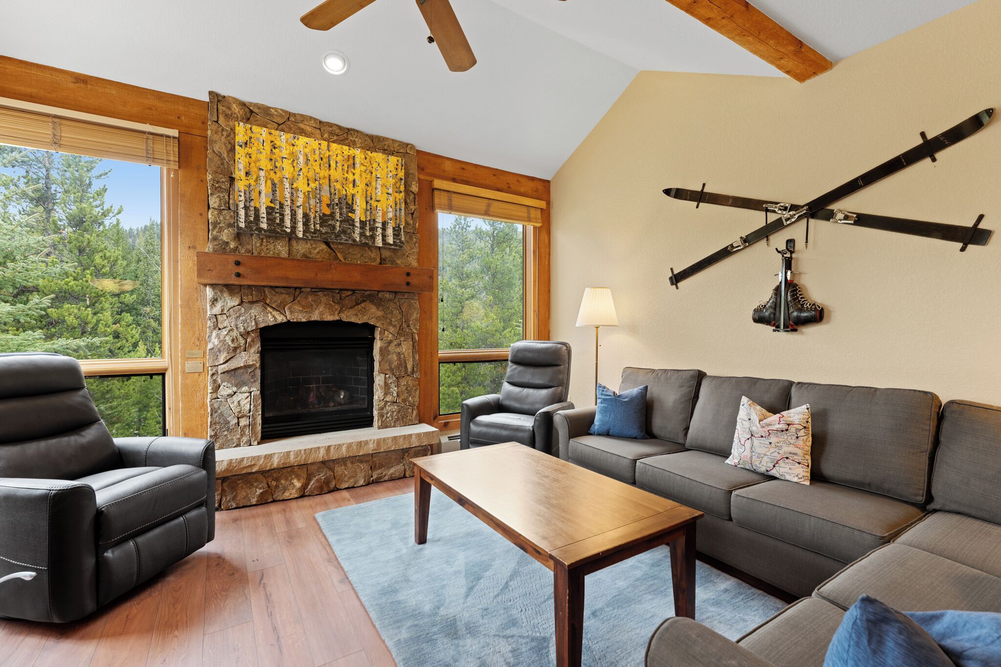 TV, fireplace
