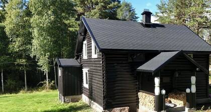 Charming place in the forest near Lake Nisser