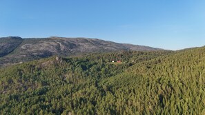 Image sans description, 2 de 24, bouton