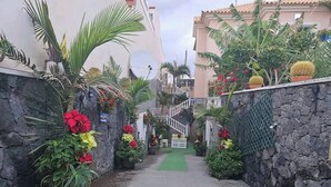 A narrow, paved pathway flanked by stone walls and lush greenery, leading to a building entrance. - Relax in El Médano's Modern Sea View Apartment (Granadilla de Abona)