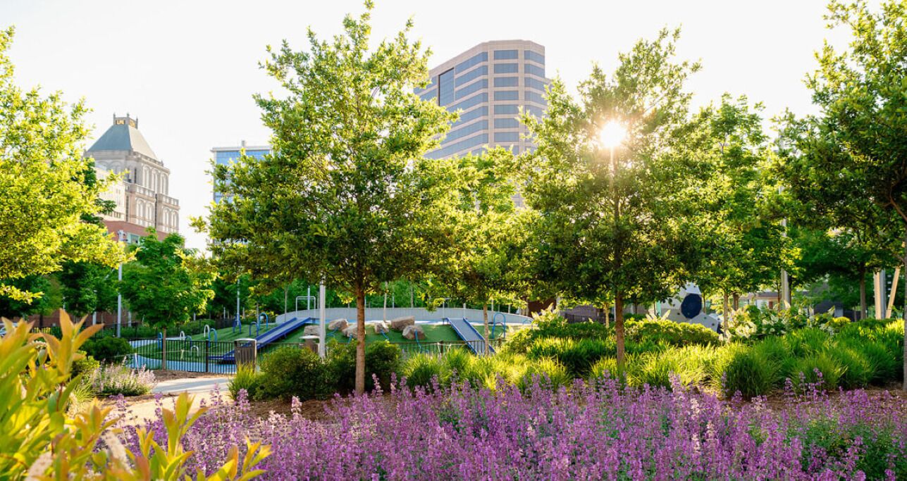 Terrein van de accommodatie