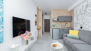 Fernseher, Arbeitsbereiche