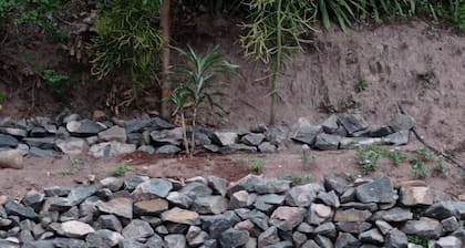 Homely and friendly place to stay in Westville