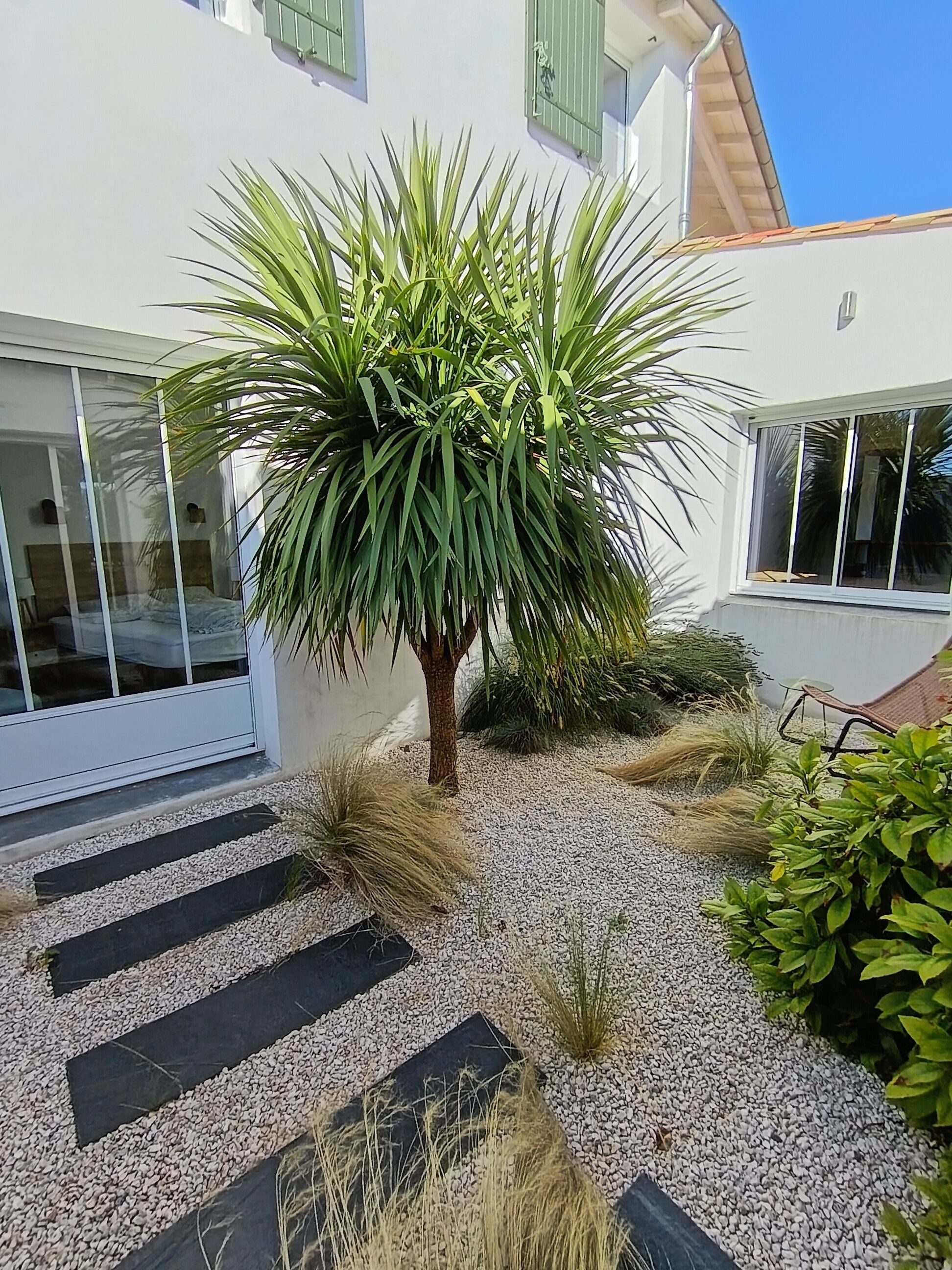 A modern house with a well-maintained garden featuring a palm tree, gravel pathways, and various shrubs.