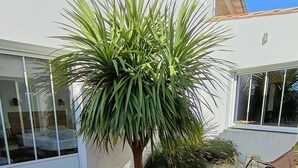A modern house with a well-maintained garden featuring a palm tree, gravel pathways, and various shrubs. - Villa blanche de Ré (rivedoux)