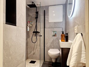 Shower, free toiletries, hair dryer