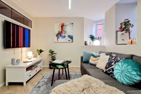 Cozy living room with smart TV and sofa bed.