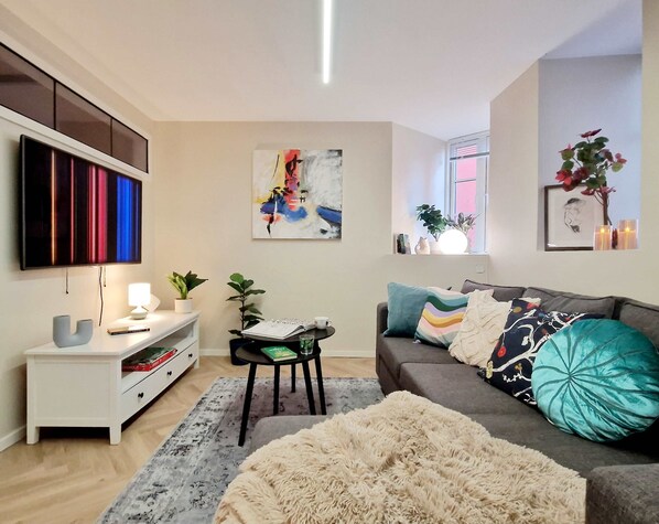 Fernseher, Arbeitsbereiche