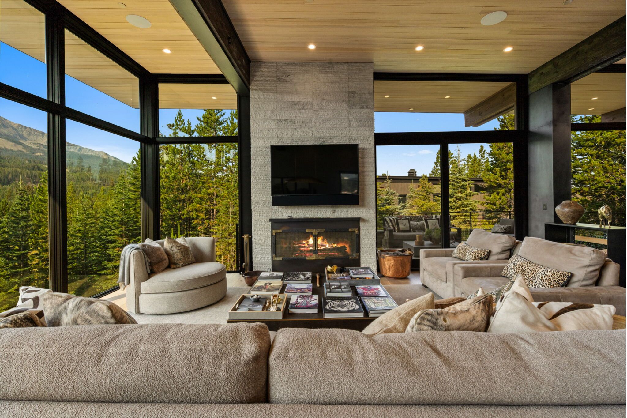 Smart-TV, Kamin, Videospiele, DVD-Player