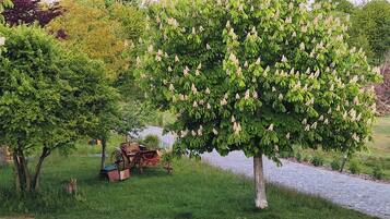 Apartemen | Halaman properti