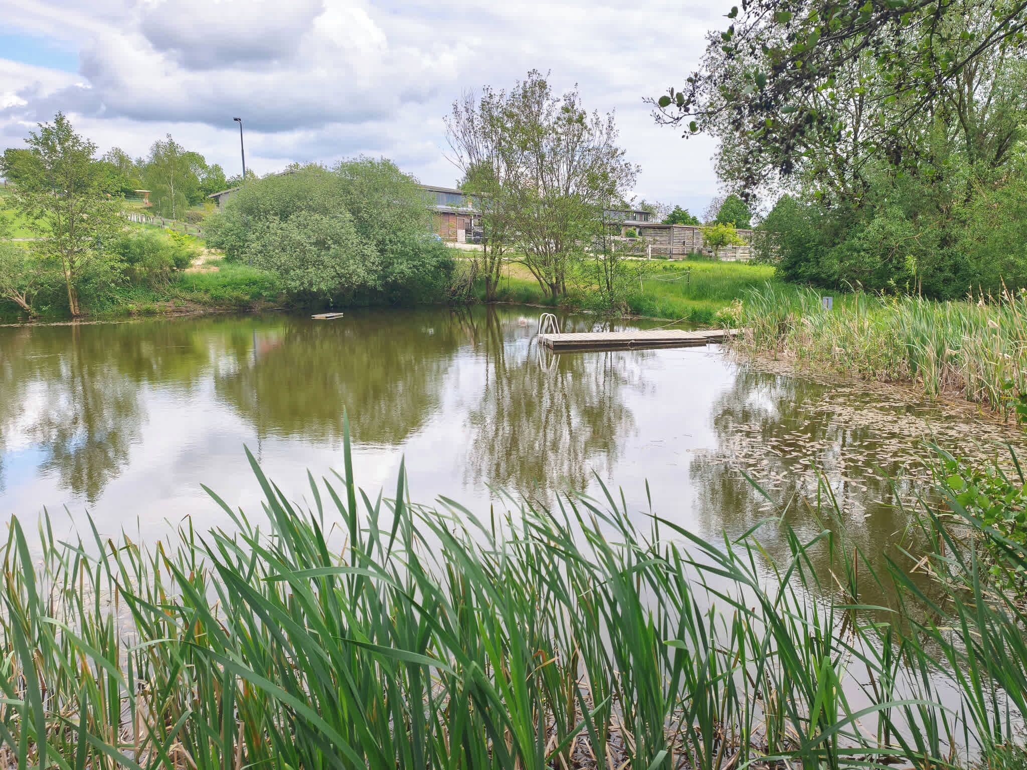 A calm water body with surrounding greenery and a dock.