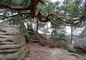 Enceinte de l’hébergement