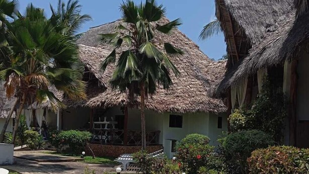 Un resort con cabañas de techo de paja, palmeras y sillones de madera.