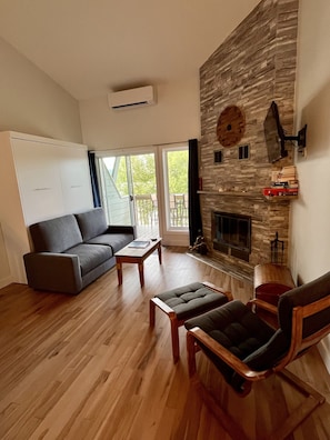 TV, fireplace