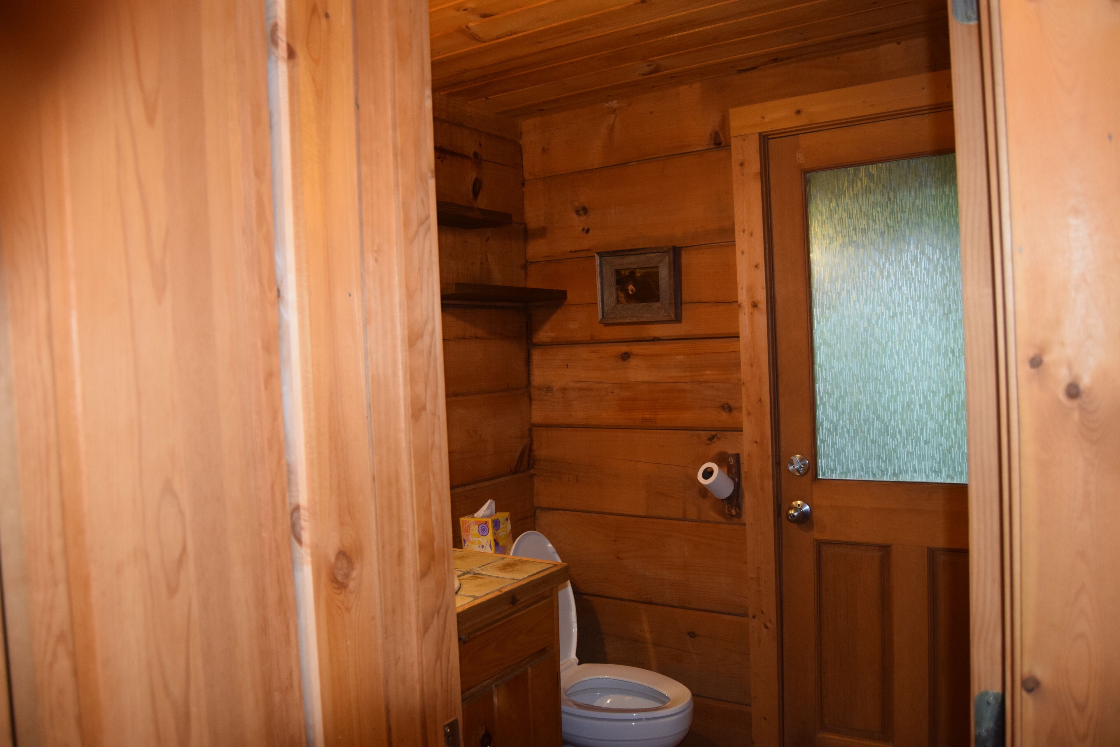 Baño de cabaña de madera con un inodoro, un estante pequeño con una caja de pañuelos y una puerta con panel de vidrio satinado.