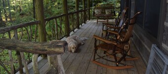 New Listing! Secluded -Rustic Log Cabin- In Town Cashiers- Pet-Friendly!