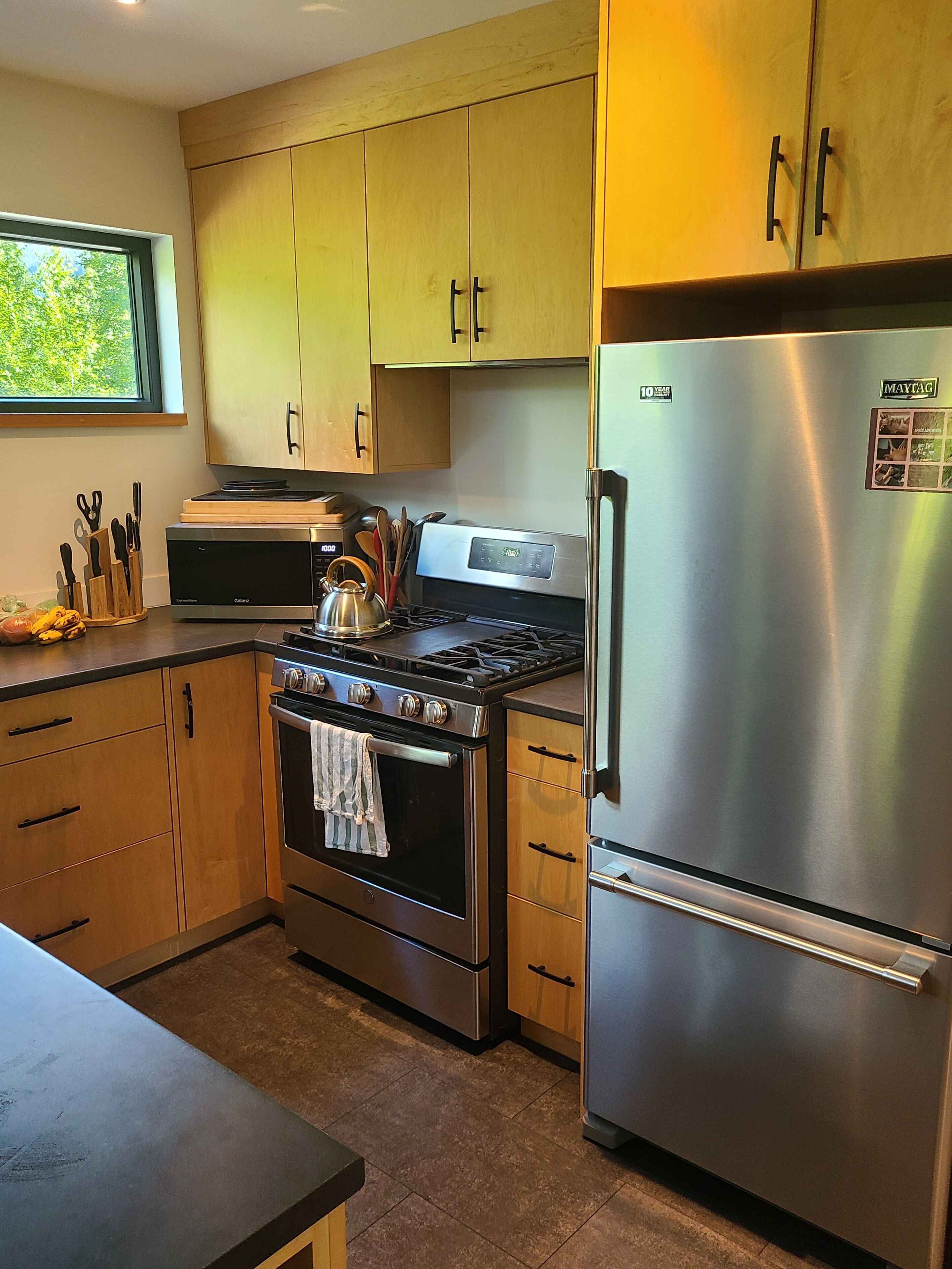 Microwave, oven, stovetop, dishwasher