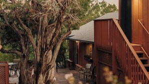 Un edificio rústico de madera con una escalera, un árbol grande y mesas al aire libre.