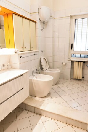 Shower, free toiletries, hair dryer, bidet