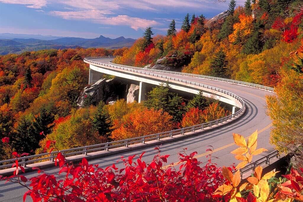 A bridge over a winding road surrounded by autumn foliage.