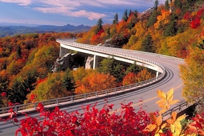 A bridge over a winding road surrounded by autumn foliage.
