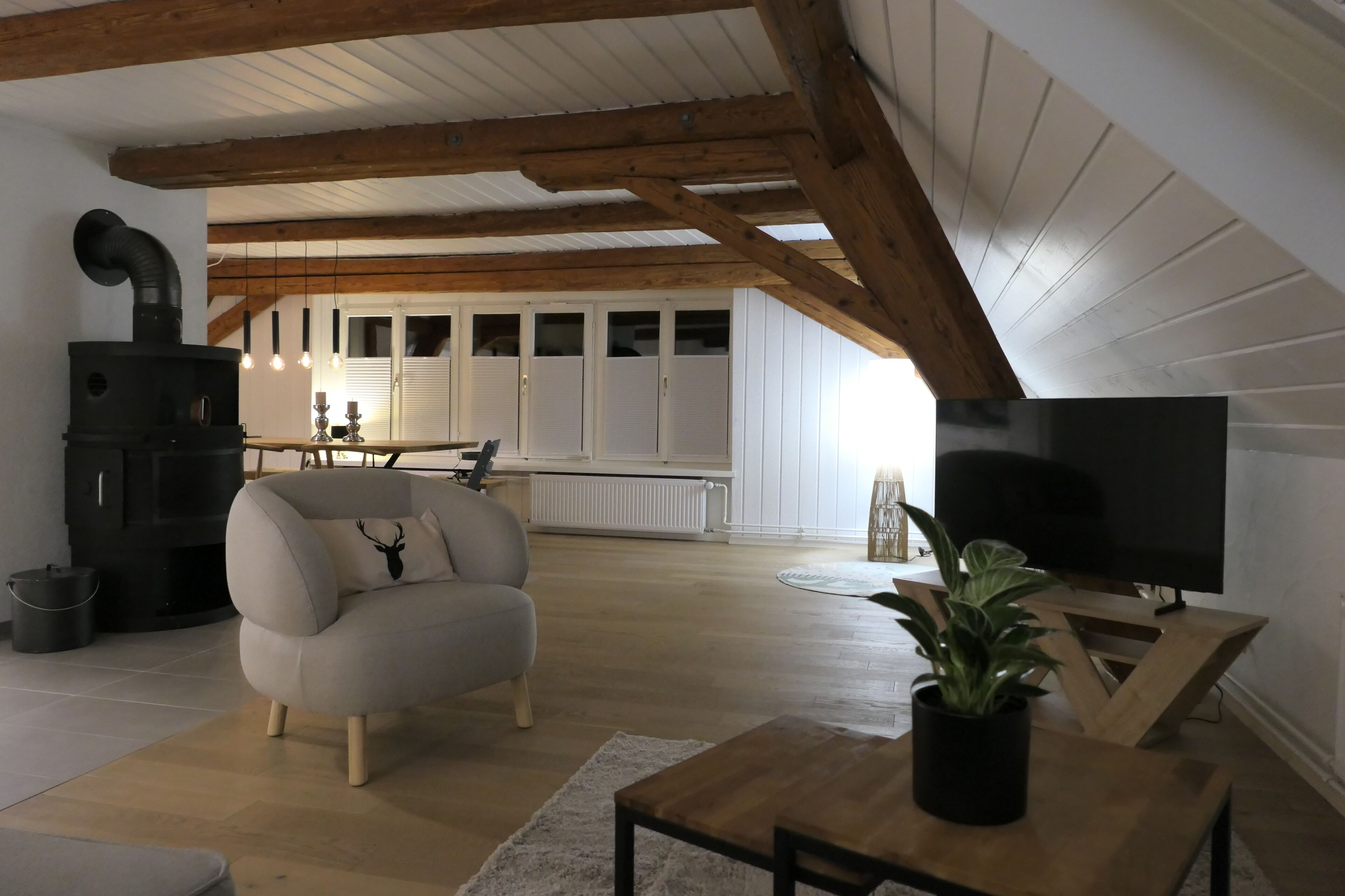 Smart-TV, Kamin, Bücher, Musikbibliothek